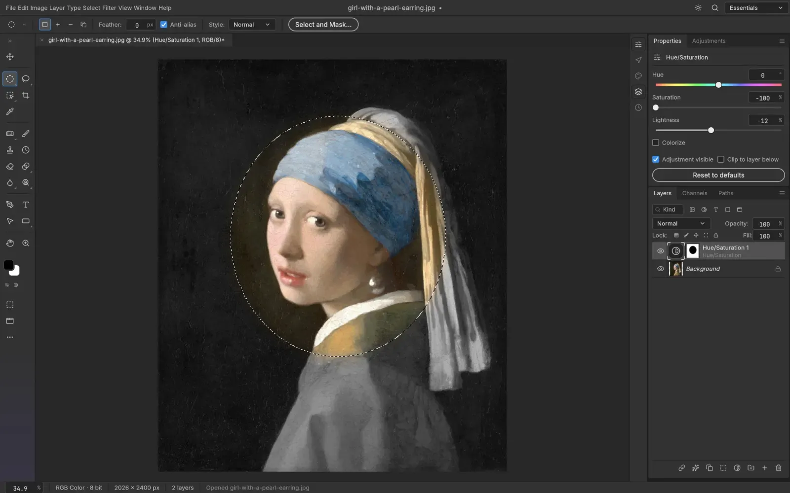 PhotoCraft mit Vermeers Mädchen mit dem Perlenohrring: eine elliptische Auswahl um das Gesicht und eine Einstellungsebene mit Maske, die alles außerhalb des Gesichts grau färbt